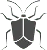 cimici eterotteri