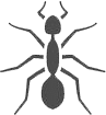 formica
