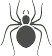 ragno