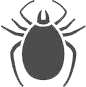 zecca