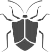 cimici eterotteri