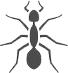 formica