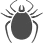 zecca