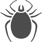 zecca